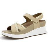 Tracy 250385-795H Beige-White